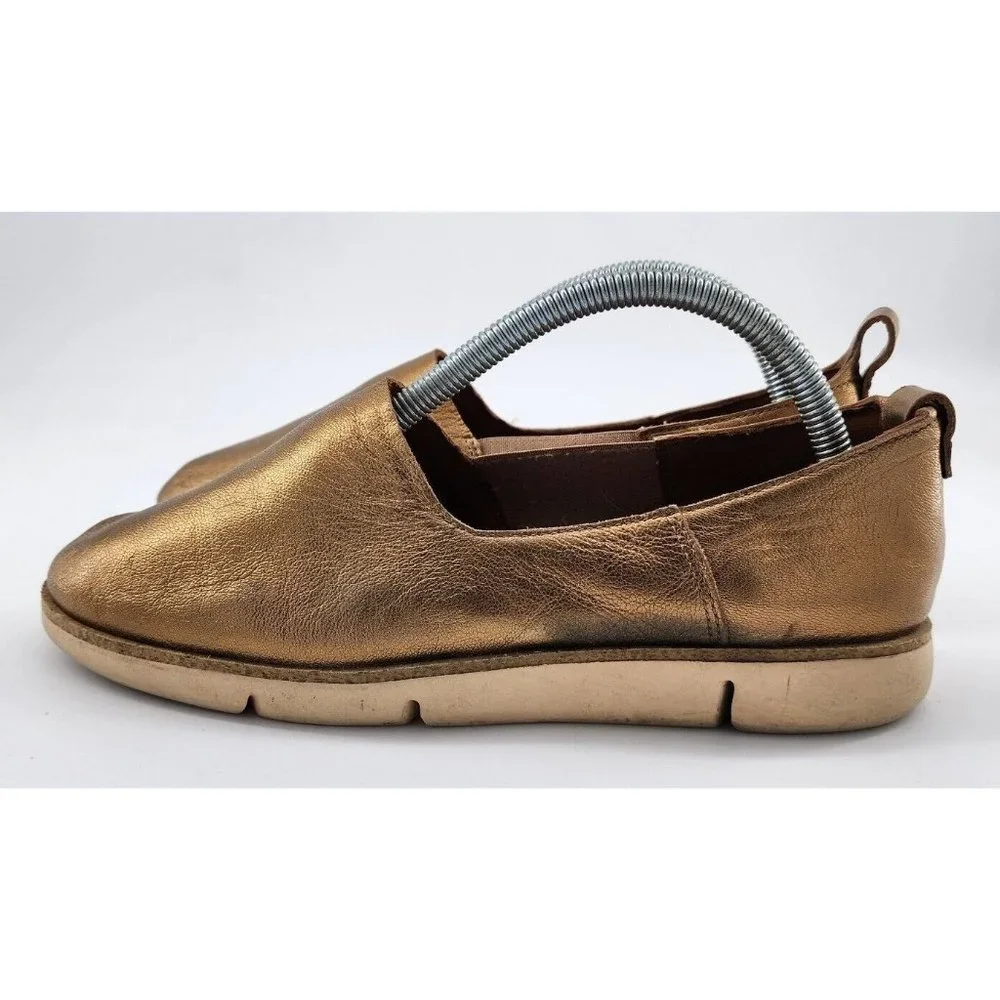 Clarks trigenic women